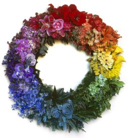 article image -
